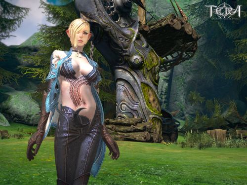 更多《TERA》消息請關注962游戲網(wǎng)